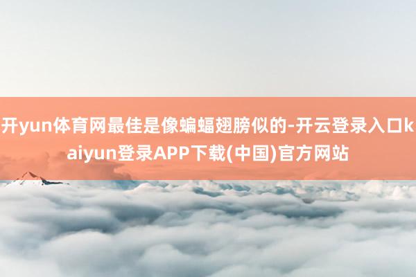 开yun体育网最佳是像蝙蝠翅膀似的-开云登录入口kaiyun登录APP下载(中国)官方网站