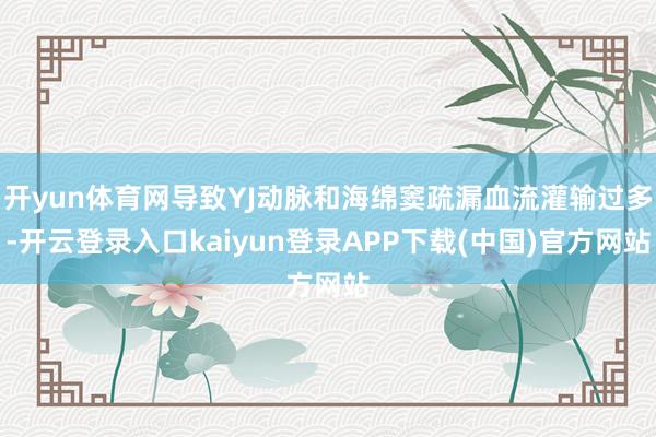 开yun体育网导致YJ动脉和海绵窦疏漏血流灌输过多-开云登录入口kaiyun登录APP下载(中国)官方网站